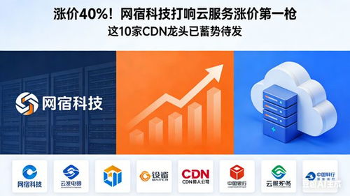 漲價(jià)40% 網(wǎng)宿科技打響云服務(wù)漲價(jià)第一槍，10家CDN龍頭蓄勢待發(fā)